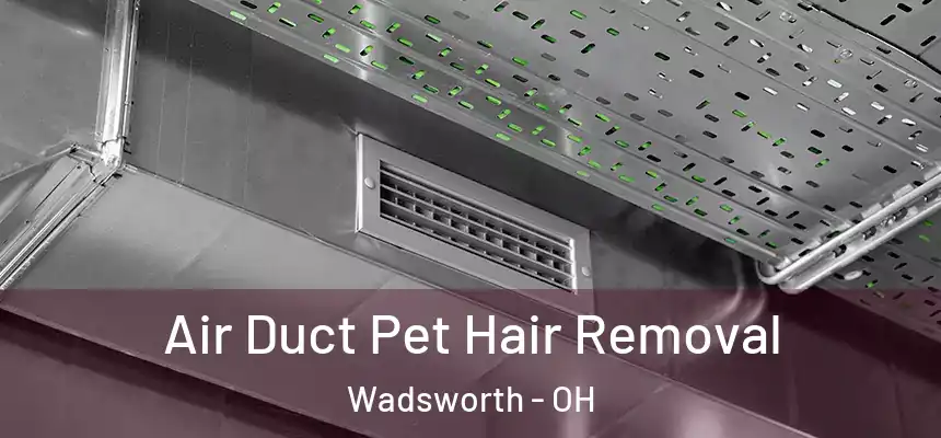  Air Duct Pet Hair Removal Wadsworth - OH
