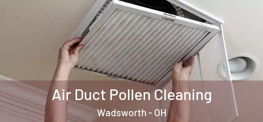 Air Duct Pollen Cleaning Wadsworth - OH