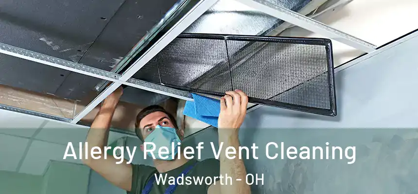  Allergy Relief Vent Cleaning Wadsworth - OH
