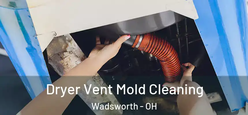 Dryer Vent Mold Cleaning Wadsworth - OH