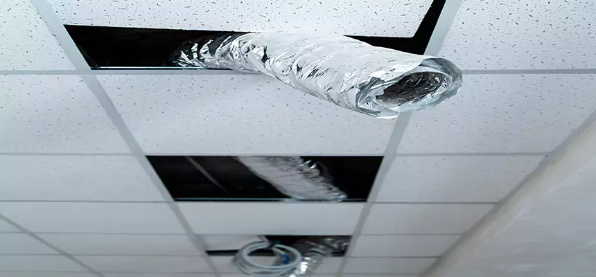 Affordable HVAC Sanitizing After Pest Removal in Wadsworth