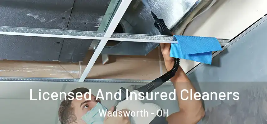 Licensed And Insured Cleaners Wadsworth - OH