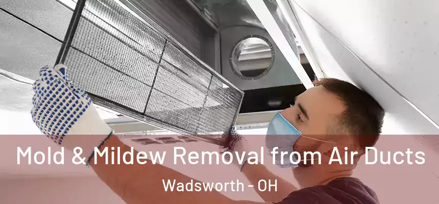 Mold & Mildew Removal from Air Ducts Wadsworth - OH