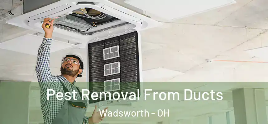 Pest Removal From Ducts Wadsworth - OH