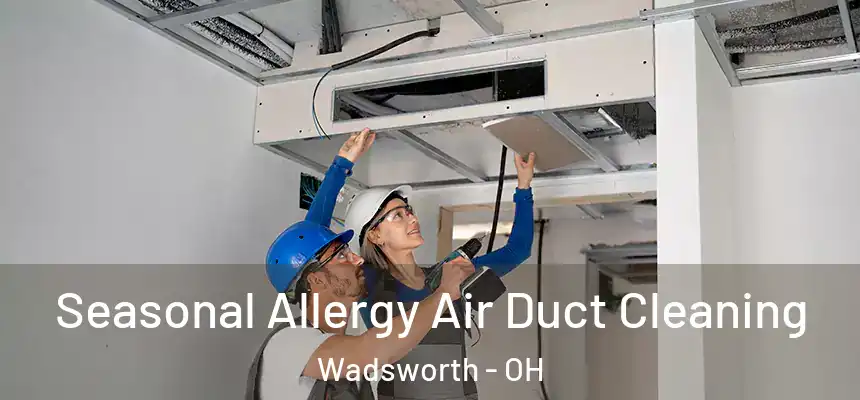  Seasonal Allergy Air Duct Cleaning Wadsworth - OH