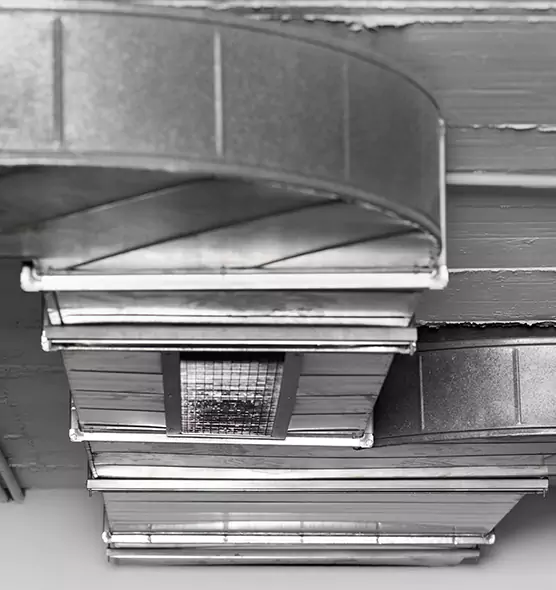 Professional Air Duct Pest Removal in Wadsworth, OH