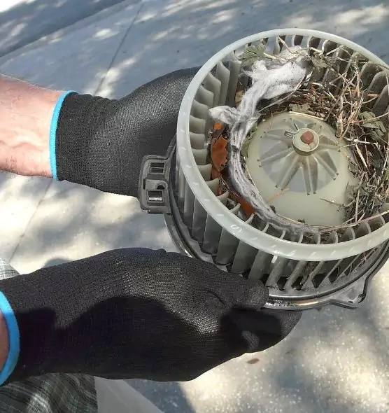 About Air Duct Rat Removal in Wadsworth, OH