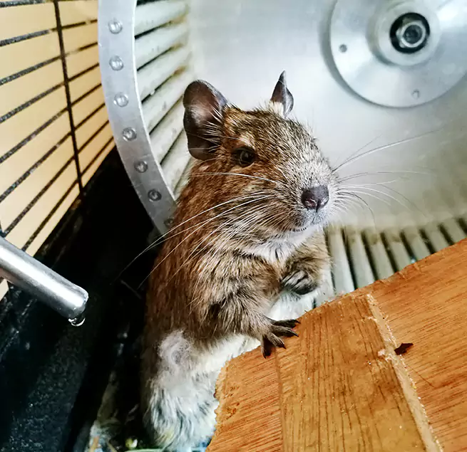 Why Homeowners & Businesses Trust Us Wadsworth, OH?